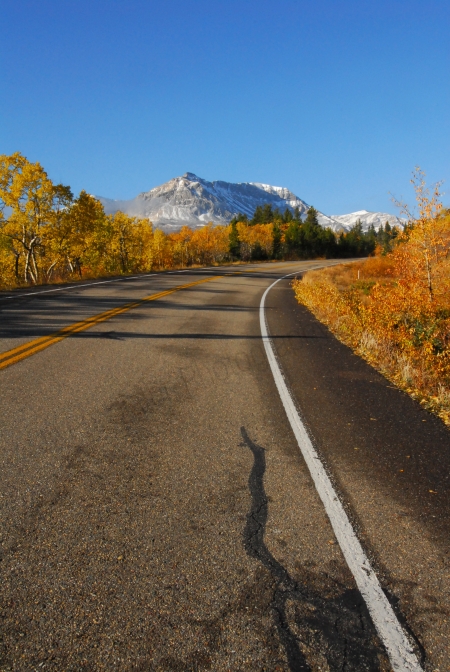 fall-leaves-mountain-and-road.jpg