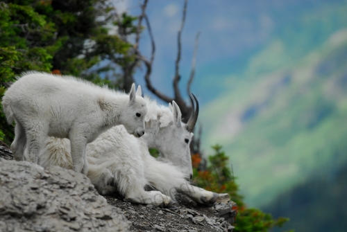 (c) Owen Slater 0063