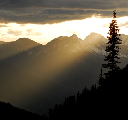 (c) Owen Slater 0240