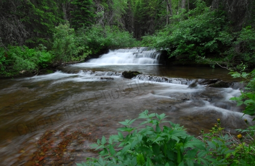 (c) Owen Slater 0425 (c) Owen Slater 0425