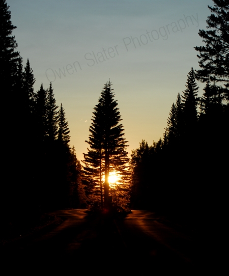 (c) Owen Slater 0741