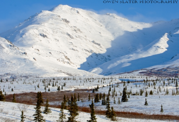 Denali Landscape WM