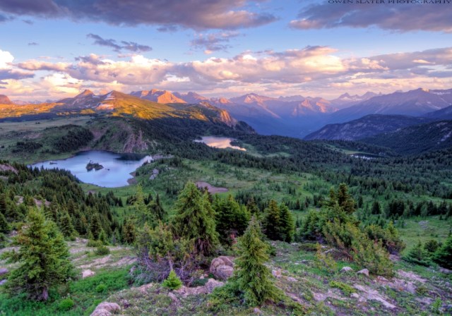 Sunshine meadow 2 WM