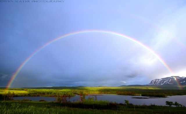 Waterton rainbow WM