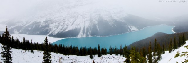Peyto lake horizontal panorama WM