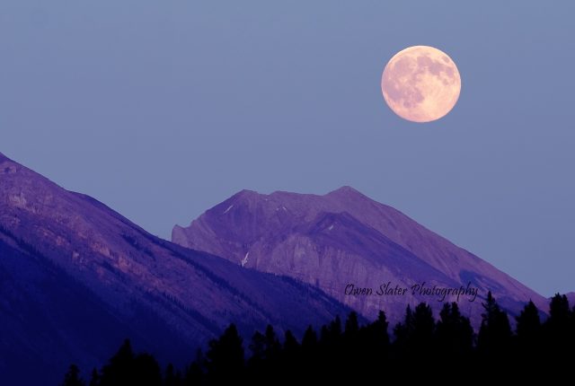 Supermoon July 2014 wm
