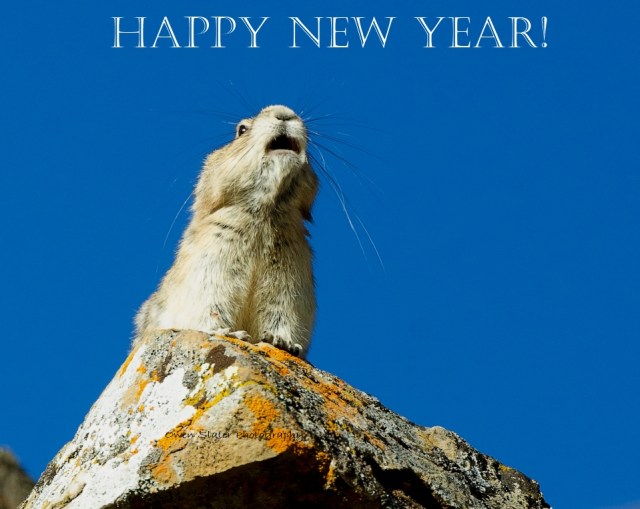 Happy New Year Pika WM